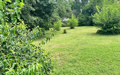 Photo of Karen P.'s yard after getting lawn care in El Dorado, KS
