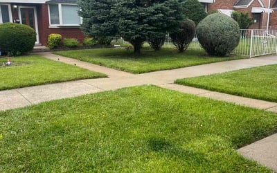 Photo of Chandra T.'s yard after getting lawn care in Orange, CA