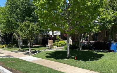 Photo of Octobias D.'s yard after getting lawn care in The Colony, TX