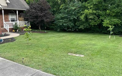 Photo of Angie S.'s yard after getting lawn care in La Vergne, TN