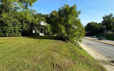 Photo of Gayle S.'s yard after getting lawn care in Darien, IL