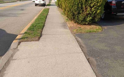 Photo of Claudia P.'s yard after getting lawn care in Germantown, TN