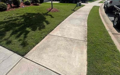 Photo of Aaron A.'s yard after getting lawn care in Umatilla, FL