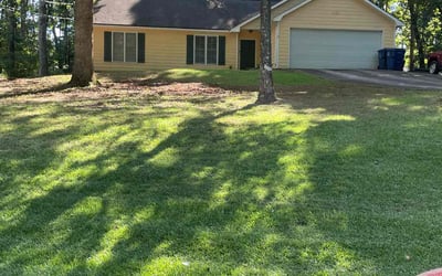 Photo of Samentha S.'s yard after getting lawn care in Daytona Beach, FL