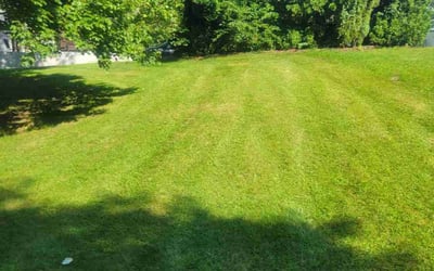 Photo of Paul O.'s yard after getting lawn care in Methuen, MA