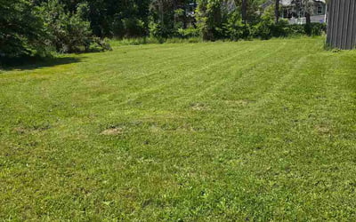Photo of Kyle D.'s yard after getting lawn care in Sykesville, MD
