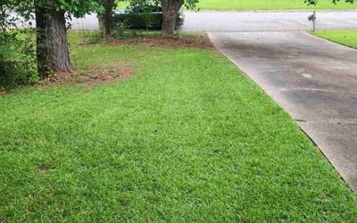 Photo of Courtney S.'s yard after getting lawn care in Medford, OR