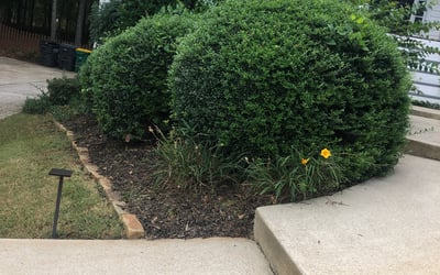 Photo of Chris G.'s yard after getting lawn care in Longmont, CO