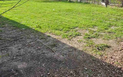 Photo of Rj S.'s yard after getting lawn care in Windsor, CA