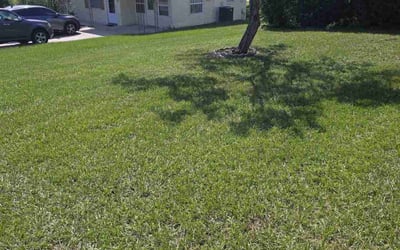 Photo of Debbie A.'s yard after getting lawn care in Crystal River, FL