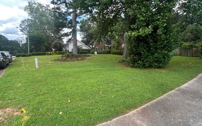 Photo of Diann C.'s yard after getting lawn care in Lilburn, GA