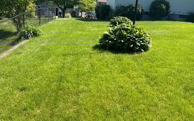 Photo of Ryan D.'s yard after getting lawn care in West Warwick, RI
