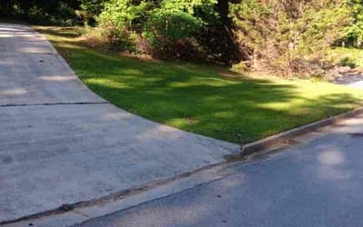 Photo of Tim P.'s yard after getting lawn care in Petaluma, CA