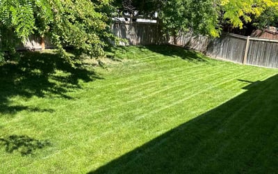 Photo of Bret N.'s yard after getting lawn care in Boise City, ID