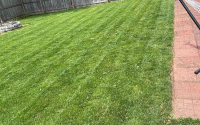 Photo of Carey S.'s yard after getting lawn care in Warwick, RI