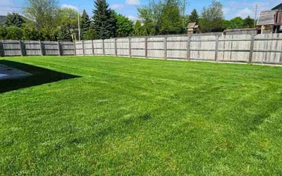 Photo of Jill B.'s yard after getting lawn care in Algonquin, IL