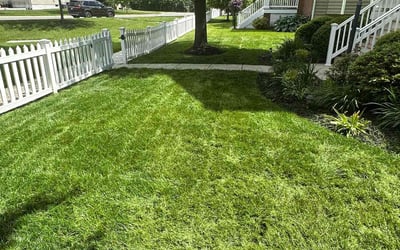Photo of Joanna B.'s yard after getting lawn care in Pontiac, MI