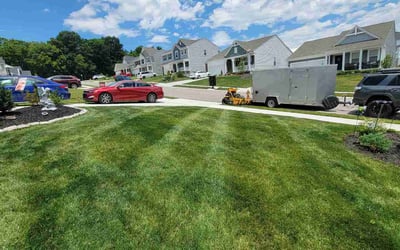 Photo of Shaby S.'s yard after getting lawn care in Manchester, CT