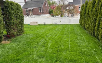Photo of Doug W.'s yard after getting lawn care in Reading, PA