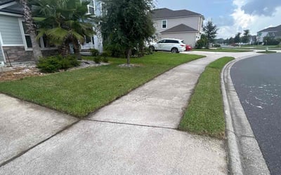 Photo of Susan C.'s yard after getting lawn care in Springfield, MO
