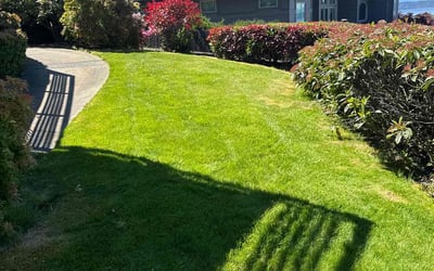 Photo of John D.'s yard after getting lawn care in Eden Prairie, MN