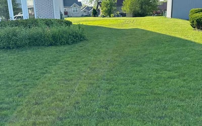 Photo of Grace A.'s yard after getting lawn care in Hazel Crest, IL