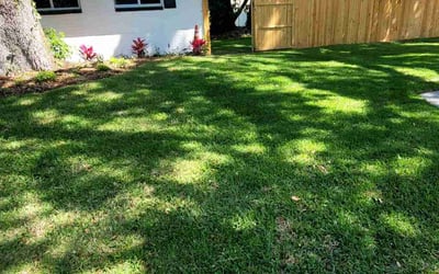 Photo of Cornelia G.'s yard after getting lawn care in Destin, FL