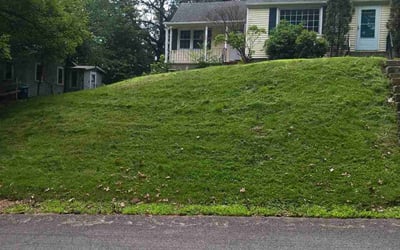 Photo of Anthony B.'s yard after getting lawn care in Easthampton, MA