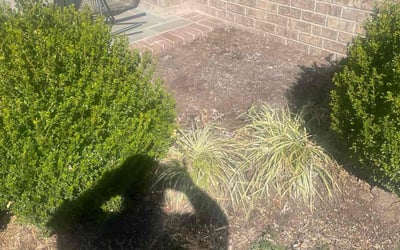 Photo of Bethanie P.'s yard after getting lawn care in New Rochelle, NY