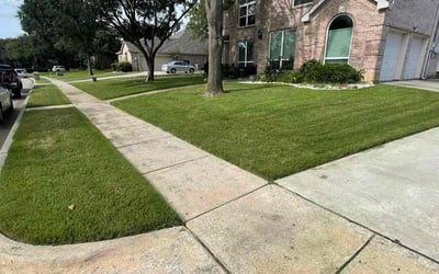 Photo of Michael S.'s yard after getting lawn care in Newberg, OR