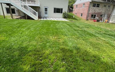 Photo of Trish B.'s yard after getting lawn care in Bethesda, MD