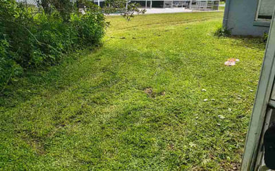 Photo of Larry V.'s yard after getting lawn care in Wilmington, NC