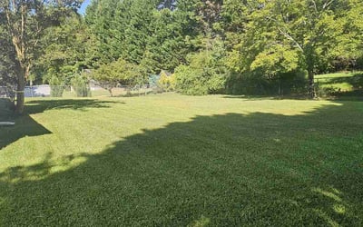 Photo of Stephanie B.'s yard after getting lawn care in Lawrenceville, GA