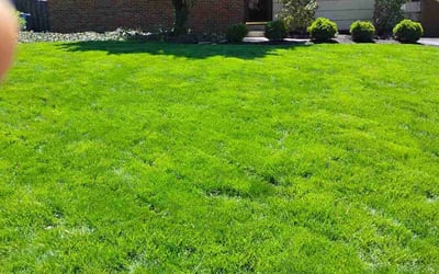Photo of Rachel T.'s yard after getting lawn care in Columbus, OH