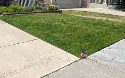 Photo of Brittney J.'s yard after getting lawn care in Aurora, CO