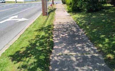 Photo of Lauren B.'s yard after getting lawn care in Denver, CO