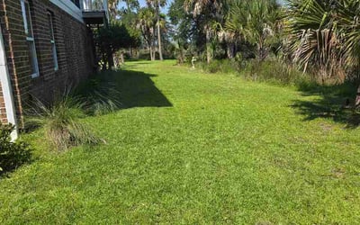 Photo of Ronald A.'s yard after getting lawn care in Hyattsville, MD