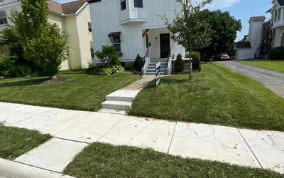 Photo of Susan L.'s yard after getting lawn care in Haverhill, MA