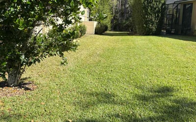 Photo of Tal B.'s yard after getting lawn care in East Weymouth, MA