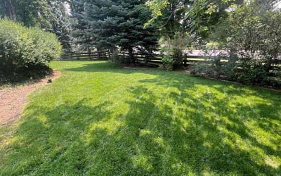 Photo of Pat K.'s yard after getting lawn care in Federal Heights, CO