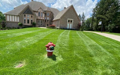Photo of Abel J.'s yard after getting lawn care in Rochester Hills, MI