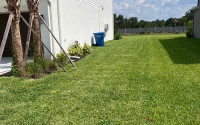 Photo of Tomika L.'s yard after getting lawn care in Melbourne, FL