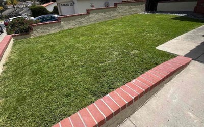 Photo of Anita R.'s yard after getting lawn care in Spring Valley, CA