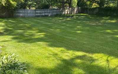 Photo of Cierra N.'s yard after getting lawn care in Rahway, NJ