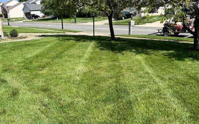 Photo of Mary J.'s yard after getting lawn care in Fairborn, OH