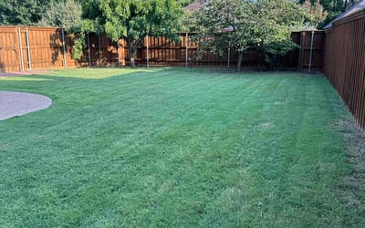 Photo of Sanam B.'s yard after getting lawn care in Addison, TX