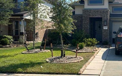 Photo of Rachel R.'s yard after getting lawn care in Conroe, TX