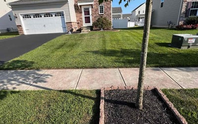 Photo of Jessie L.'s yard after getting lawn care in Swedesboro, NJ