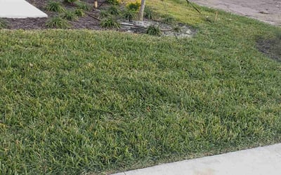 Photo of Judith S.'s yard after getting lawn care in Nokomis, FL