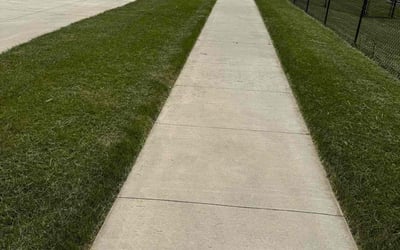 Photo of Malique S.'s yard after getting lawn care in Westfield, NJ